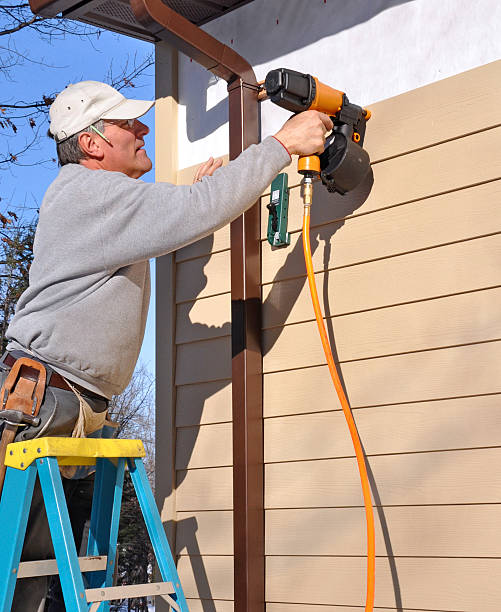 Best Siding Painting and Refinishing  in Willow Springs, MO